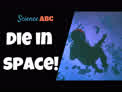 What Happens When You Die in Space? Shocking Decomposition & Explosive Fates Await!