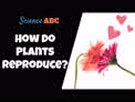 Discover the Secret World of Plant Reproduction: Cloning, Surprising Pollinators, and More!
