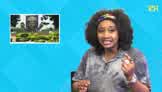 So This Happened (221) Reviews Recent Naira Fall, Tuition Fee Hike, Other | Punch