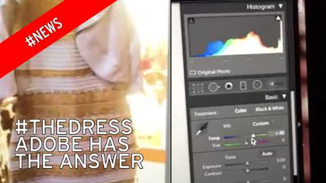 Black and blue or white and gold, #thedress, Adobe think they've cracked it