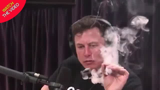 elon musk smoke cigarettes Elon Musk smokes a joint