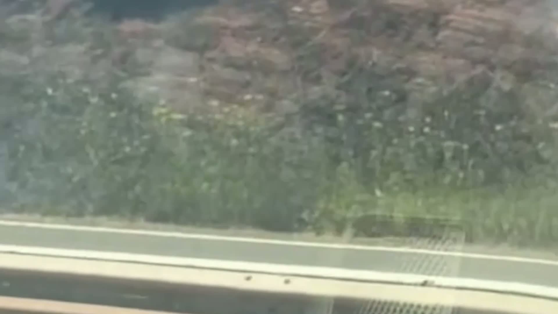 Grass verge ablaze on the A38 near Exeter