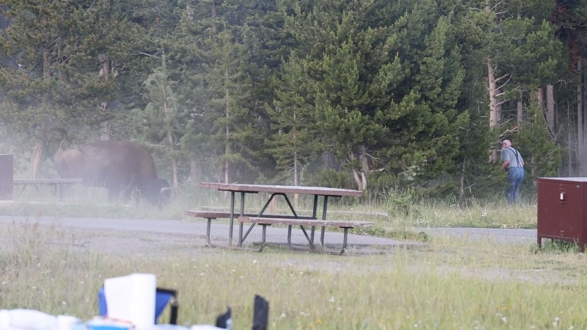 Grandad, 80, 'flipped like a ragdoll' in horror bison attack at Yellowstone