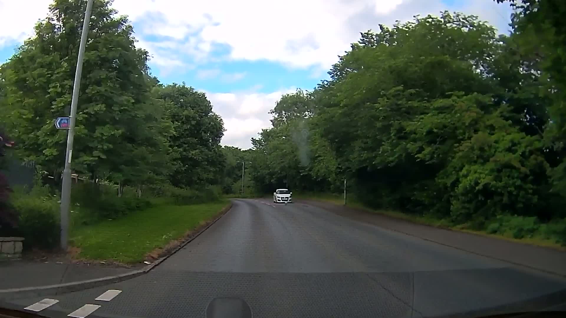 Seagull Snatches Squirrel, Crashes Into Family Car in Scotland