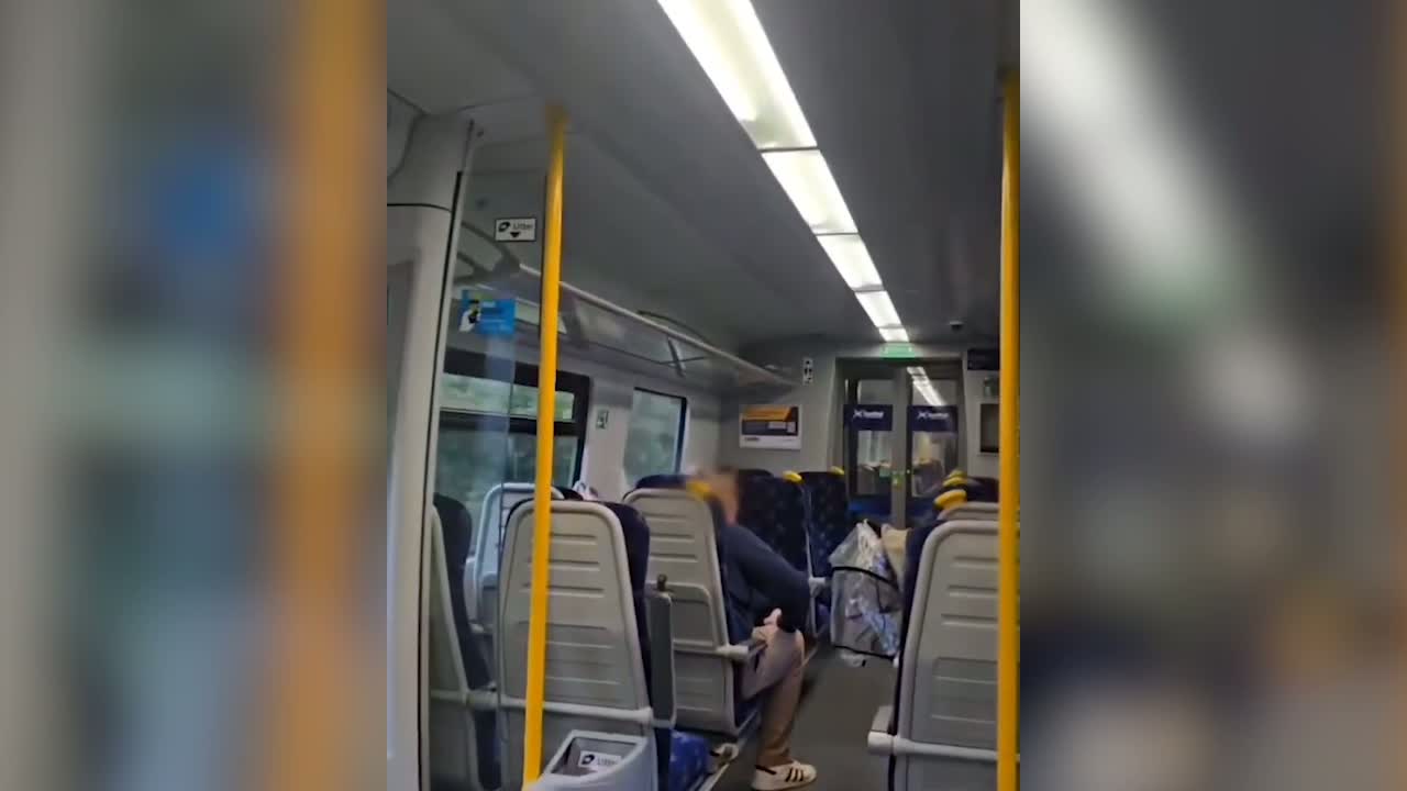 Bat on the loose on Glasgow train as travellers duck to avoid animal