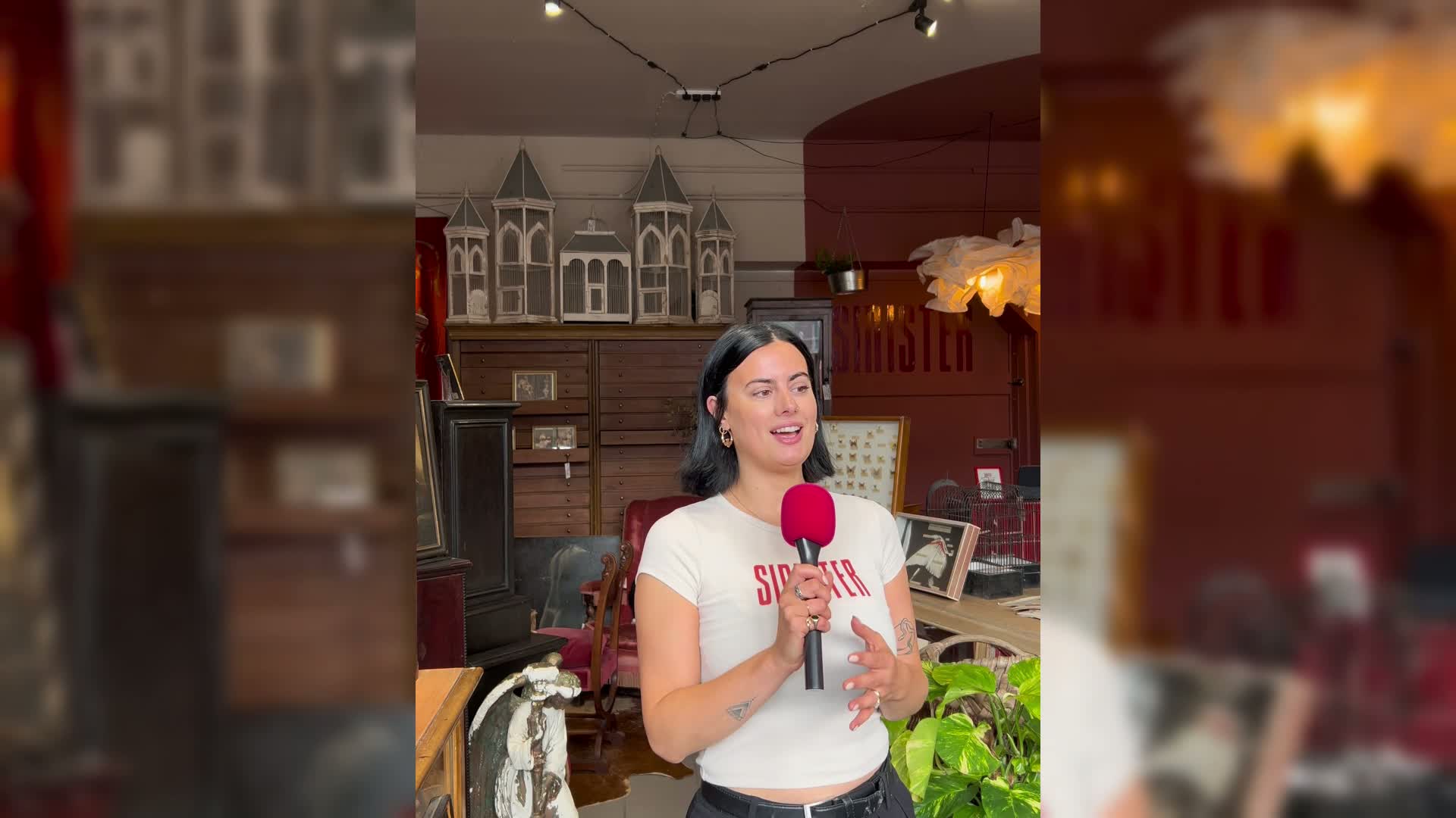 'I turned love of rummaging for weird and wonderful into my own antique shop"