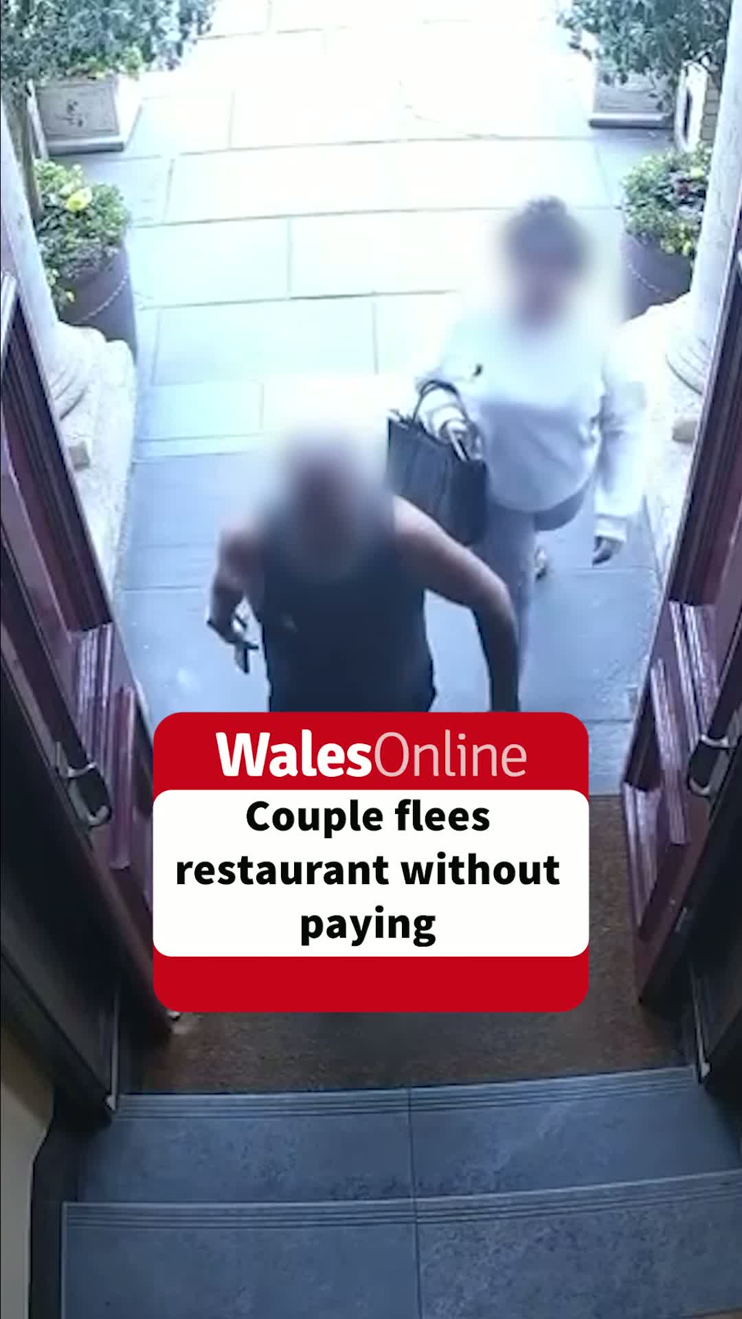 Couple dines on Dover sole and calamari, flees £115 bill at Penarth restaurant