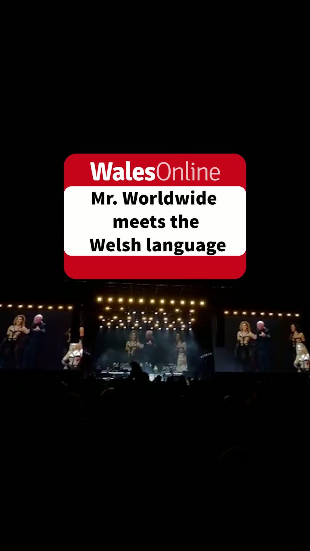 Pitbull's Welsh Attempt Leaves Cardiff Crowd in Hysterics