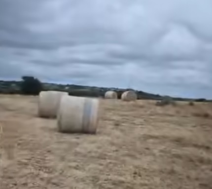 60 hay bales stolen from Anglesey farm while farmer at Royal Welsh Show