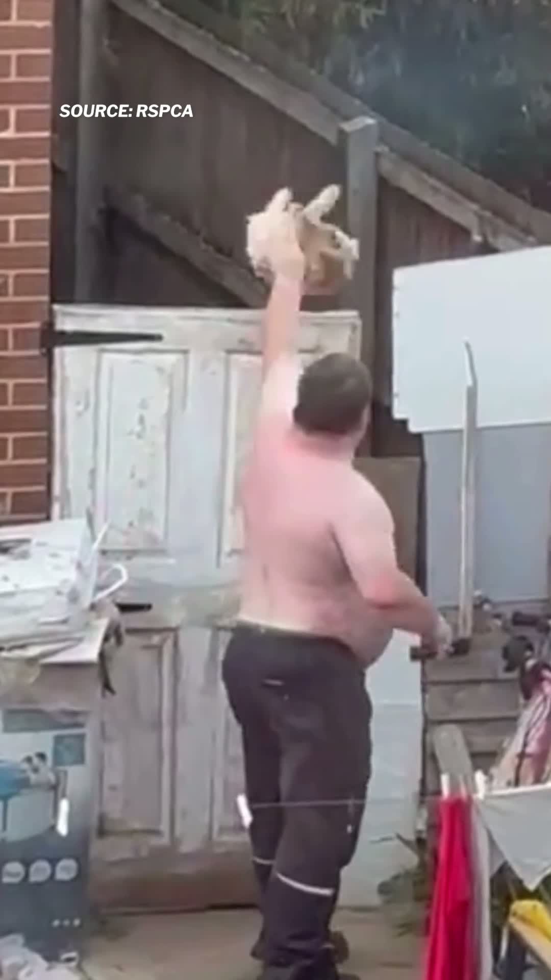 Man Banned from Pets for 10 Years After Throwing Dog Over Fence