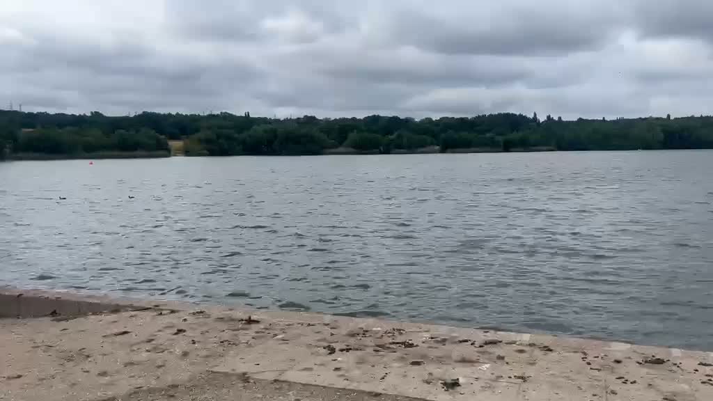Swan Pool 'Eerily Quiet' After Woman's Body Pulled from Water