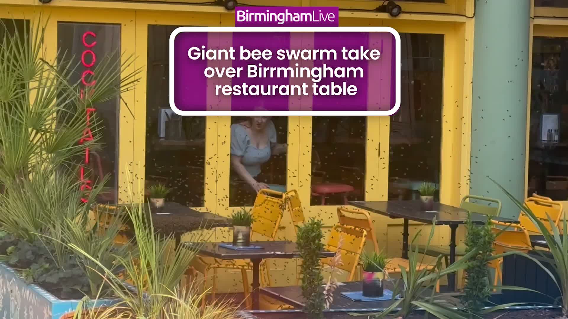 Thousands of Bees Swarm Outside Las Iguanas in Birmingham City Centre