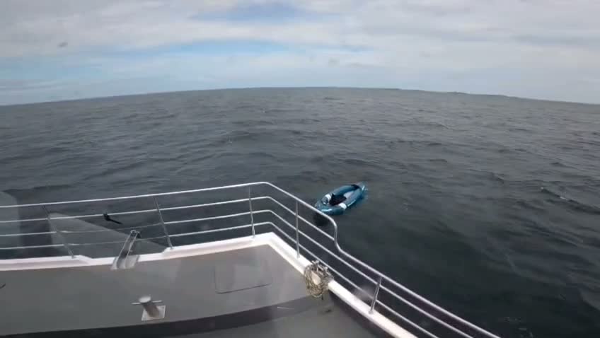 Northumberland Crew Awarded for Rescuing Dog Blown Out to Sea