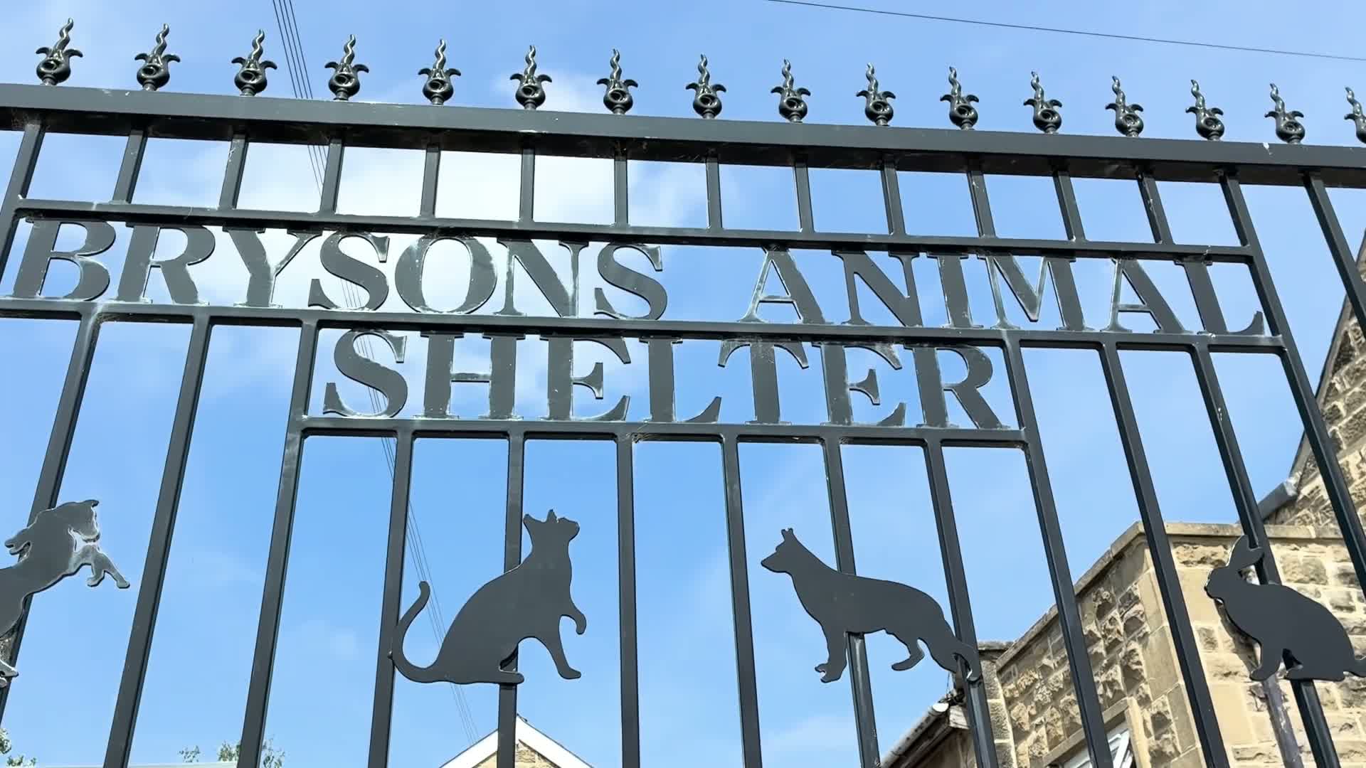 Gateshead Animal Shelter Pleads for £250k to Rebuild Dilapidated Kennels