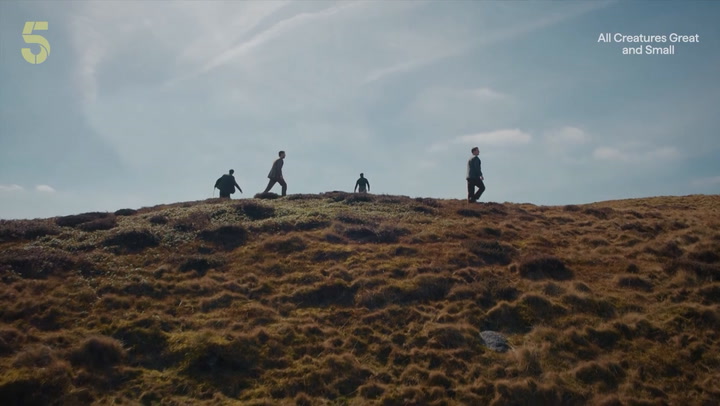 All Creatures Great and Small Season 7: Siegfried Romance Hinted