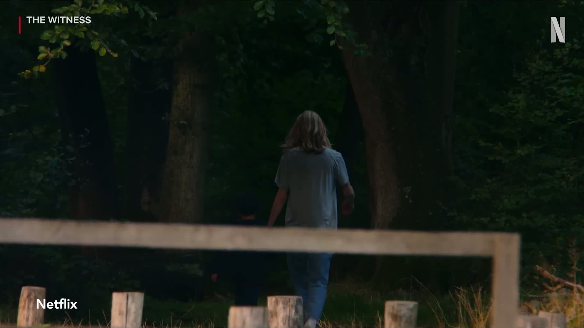 Inside The Witness' true story as Netflix crime drama drops