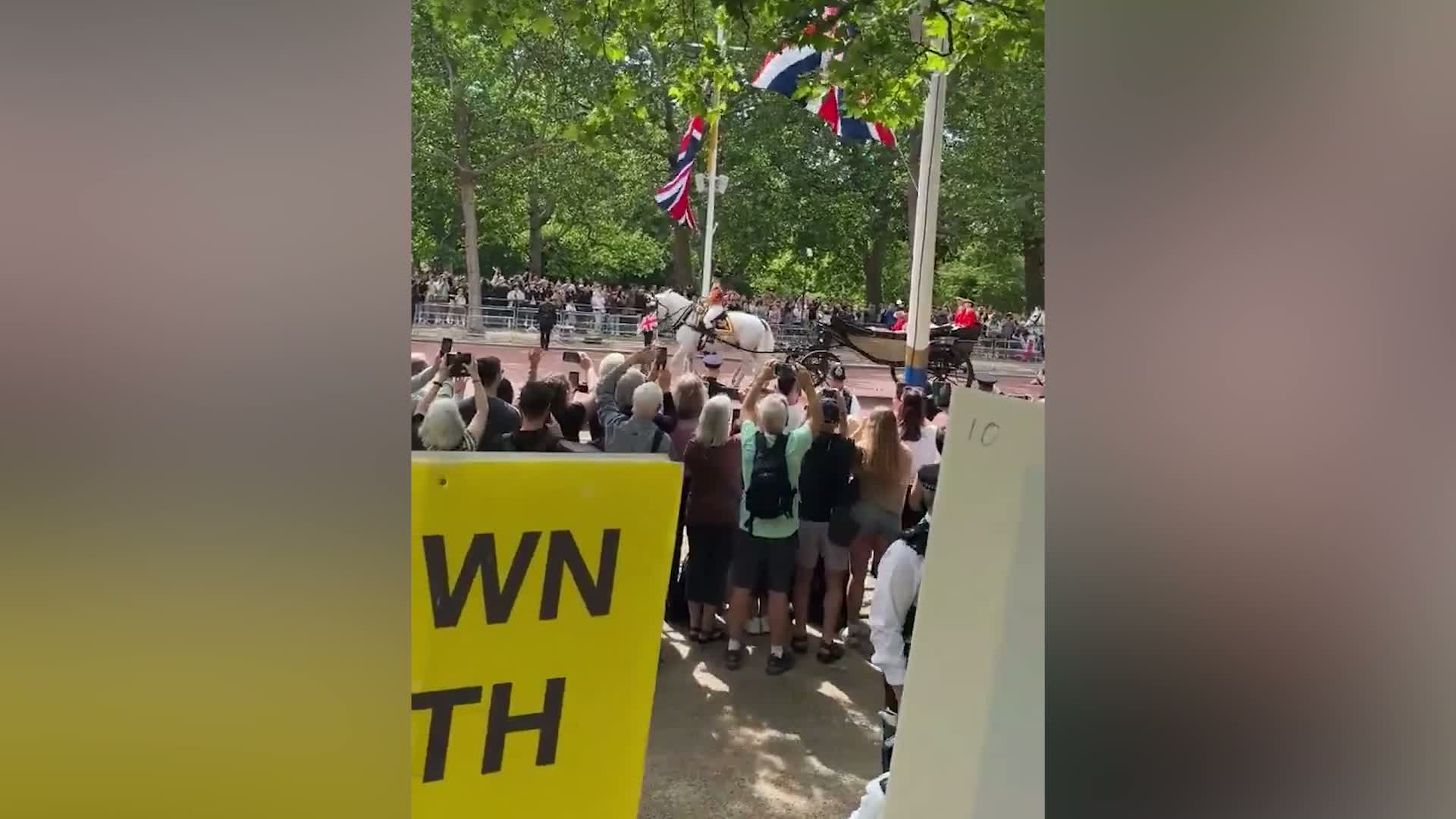 Princess Kate Stares Down Anti-Monarchists at Trooping the Colour