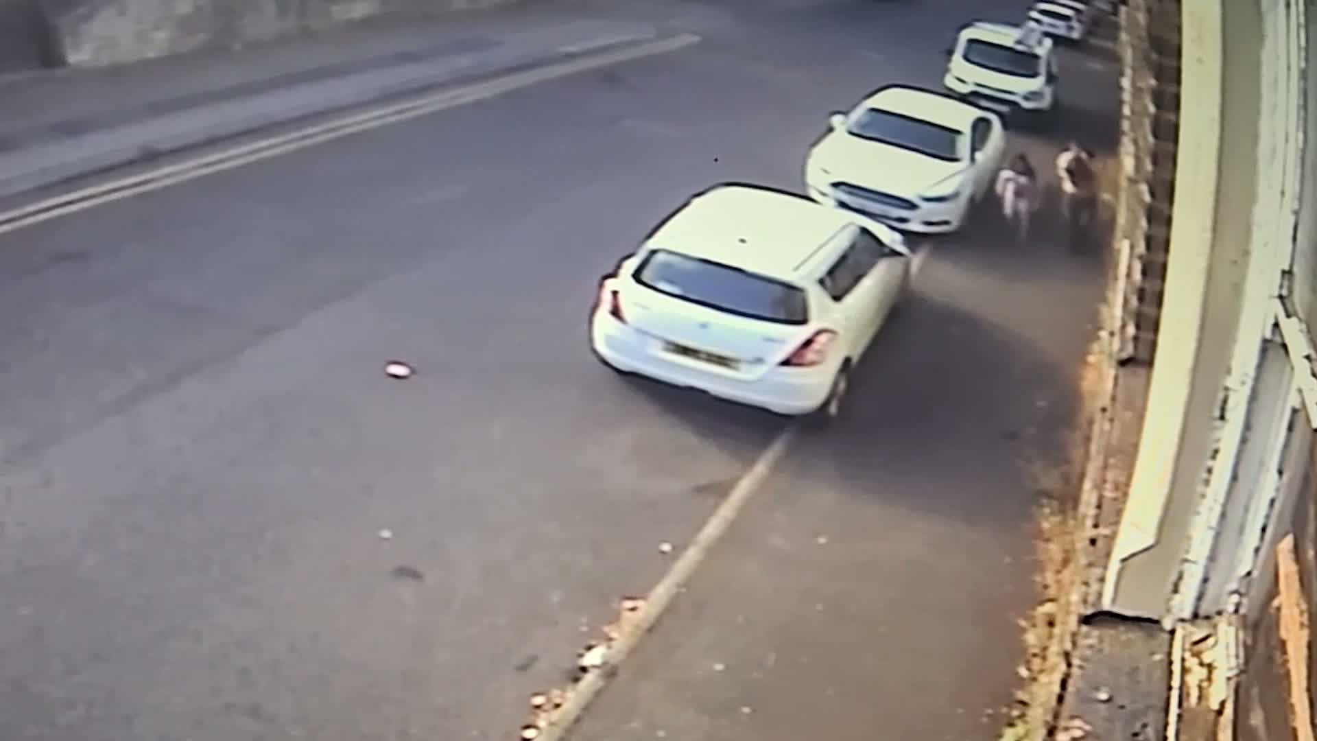 Couple avoid jail after caught on CCTV dumping dog in bin bag and throwing it in canal