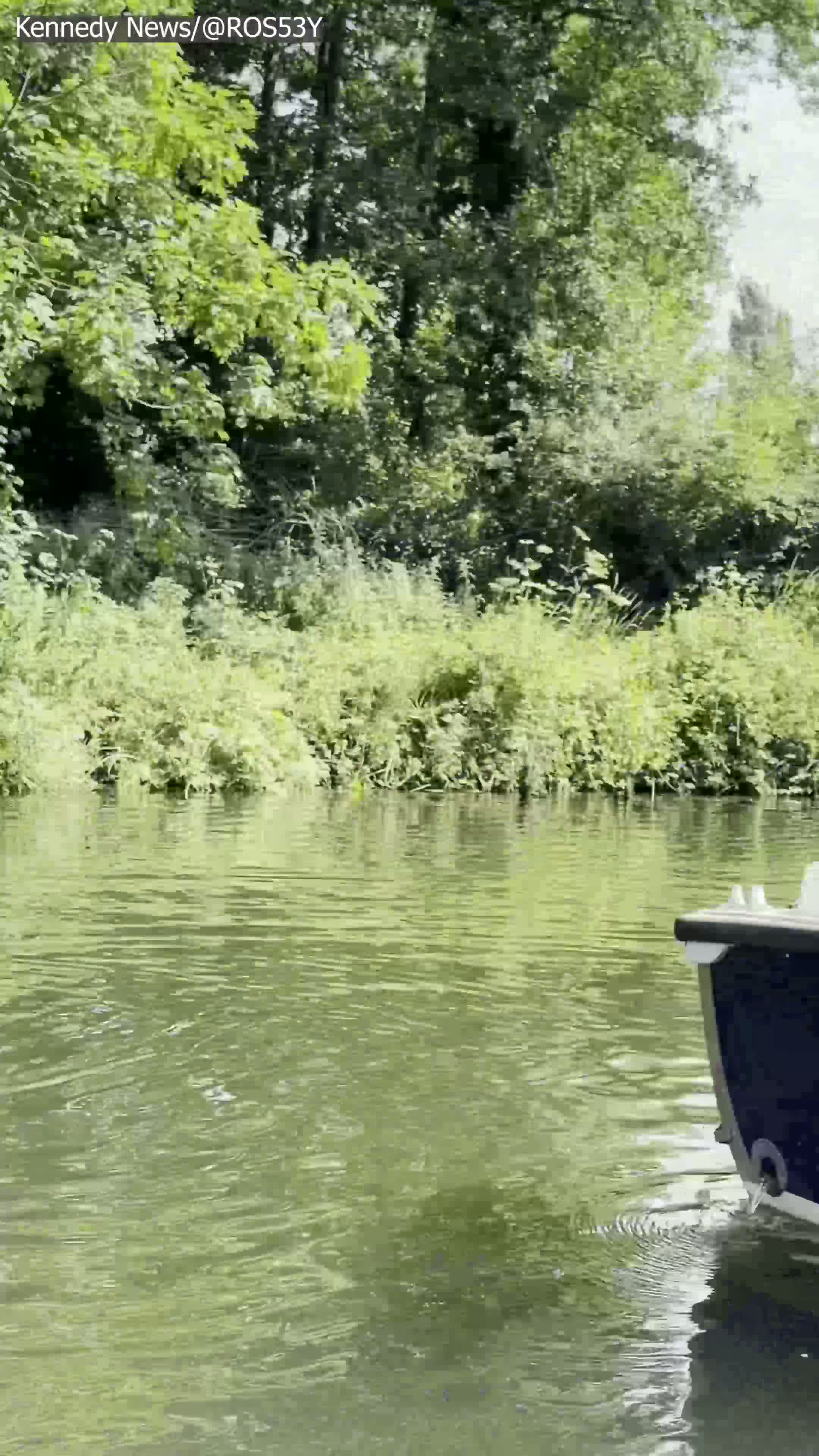 Paddleboarder Warned of £1,000 Fine for Missing River Licence