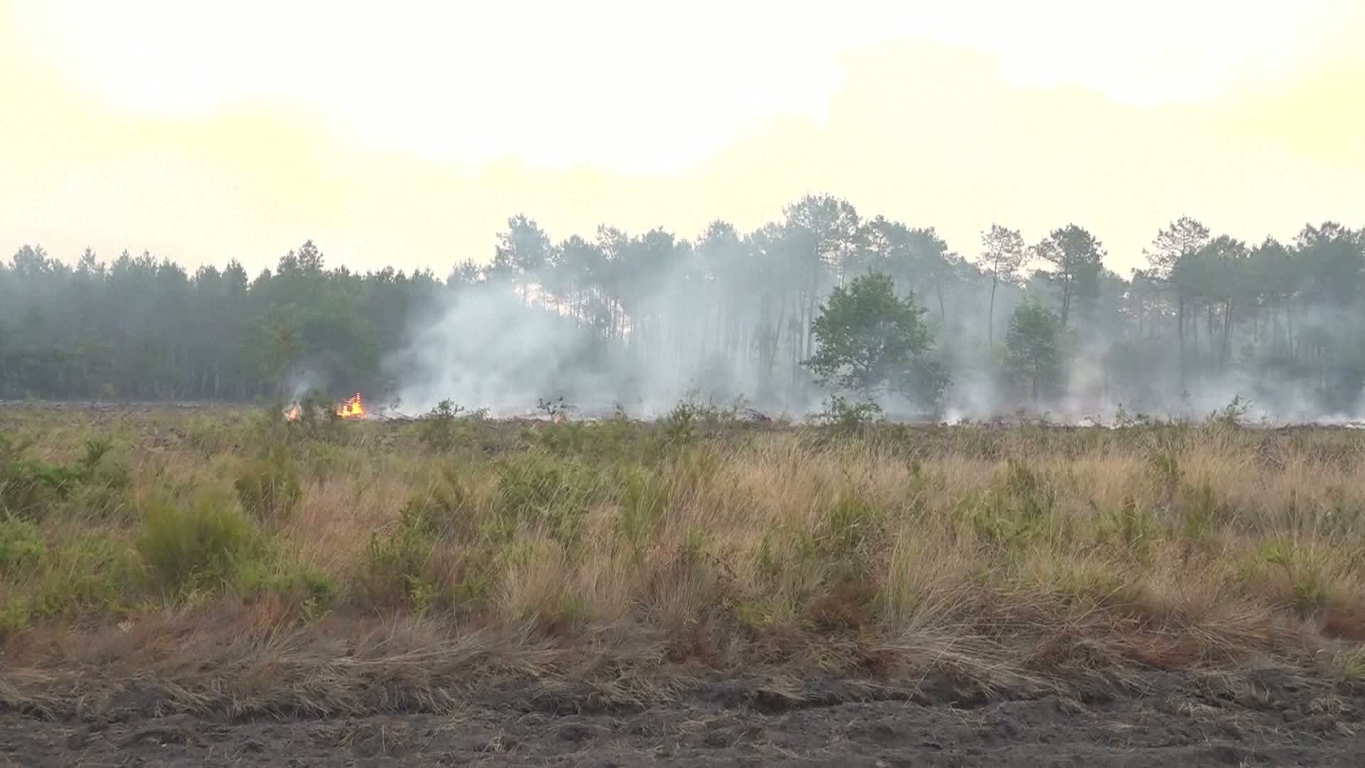 France wildfires: Bordeaux under threat, 220,000 evacuated as flames approach