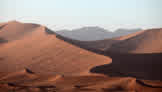 Nearly 20% of the World Could Live in Sahara-Like Heat by 2070