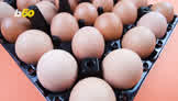 Do Runny Eggs Run a Real Risk?