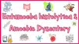 Amebiasis (Amoebic Dysentery) | Pathogenesis, Clinical presentation, Diagnosis & Treatment